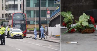 Halálra késeltek egy 15 éves lányt iskolába menet a buszon Londonban, mert nem fogadta el a virágot az exétől, akivel tegnap szakított