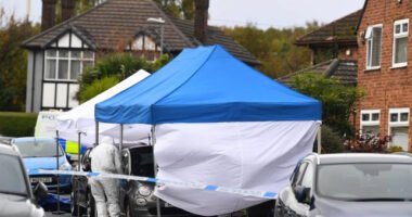 Egy apuka halálra késelte az egyik betörőt, miután kamerán végignézte, ahogy többen bejutnak az otthonába Angliában