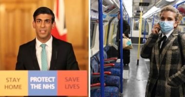 koronavírus egyéni vállalkozók