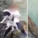 Röhögve hajított egy rémült kutyát egy szikláról a tengerbe egy gyökér fiatal Dél-Angliában