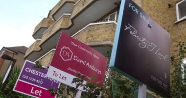 Ez vár az albérletben élőkre Nagy-Britanniában - a bérleti díjak és fizetések várható alakulása
