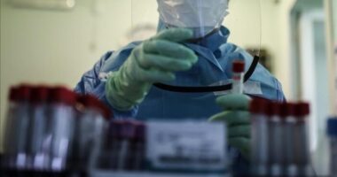 Az Ebolához hasonló vírussal fertőzött személyt azonosítottak Angliában - mit kell tudni a Lassa-lázról