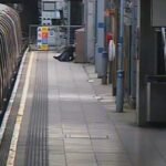 A sínekre zuhant egy személy az egyik forgalmas londoni metróállomáson – négy metró is átment rajta, mire észrevették