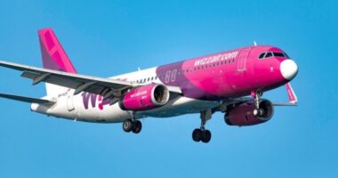 Madárral ütközött a Wizz Air egyik londoni járata - kényszerleszállást kellett végrehajtania