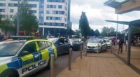 Csákánnyal hadonászva kezdett “őrült tombolásba” egy férfi egy londoni kórházban - többen megsérültek 2