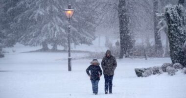 Sarkköri hidegek, és akár 4 napon át tartó havazás érheti el Nagy-Britannia több részét rövidesen - a Met Office is reagált