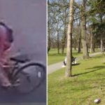 14 éves lányt erőszakoltak meg fényes nappal egy londoni parkban