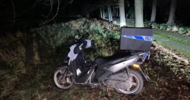 Óriási: a rendőrök vitték ki a rendelést, miután a motoros futárra út közben rázuhant egy hatalmas faág Angliában