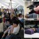 newspress-collage-1lbsxq91c-1788932204875
