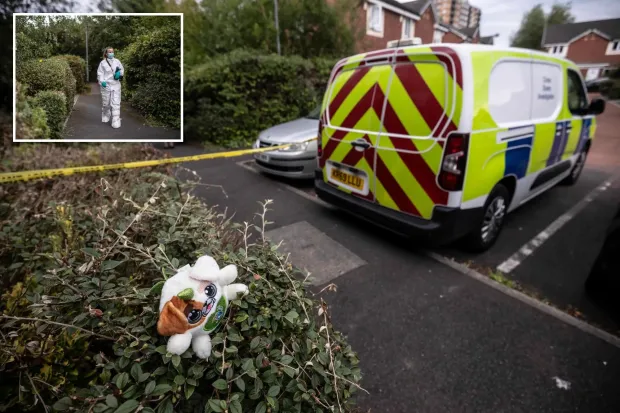 Berontottak egy lakásba és megkéselték az egész családot – hajtóvadászat indult a maszkos elkövetők ellen Angliában 5