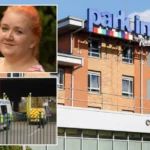 23 szúrással végzett ki egy ártatlan hotel alkalmazottat egy migráns Angliában, majd nevetve tért vissza a szállásra