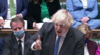 Boris Johnson már az Oroszlánkirályból idézget, miközben 5 kulcsfontosságú embere is felmondott 24 óra leforgása alatt 2