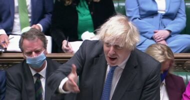 Boris Johnson már az Oroszlánkirályból idézget, miközben 5 kulcsfontosságú embere is felmondott 24 óra leforgása alatt
