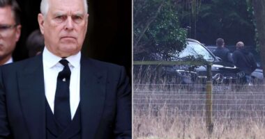 Rendkívüli bejelentés: a rendőrség letartóztatta András herceget - itt van minden, amit eddig tudni lehet