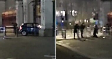 Autóval hajtottak a Buckingham-palota kapujának