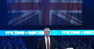 Sokkoló felmérés: a Reform UK-tagok több mint fele eltávolítaná a nem fehér bőrű, külföldön született brit állampolgárokat