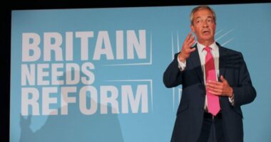Újabb botrány a Reform UK körül - náci karlendítés közben fotózták le az egyik jelöltet (kép a cikkben)