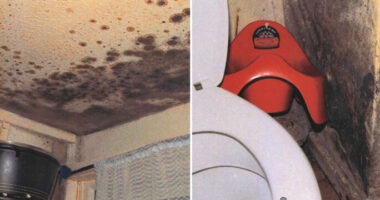 Új jogszabály jöhet Nagy-Britanniában az albérlők megvédésére és támogatására, ami milliókat érinthet