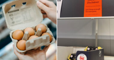 Egyre több szupermarketben már korlátozzák a tojásvásárlást Angliában, sőt van, ahol már teljesen üresek a polcok