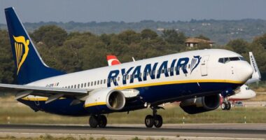 Rémálomszerű utazás a Ryanair egyik angliai járatán - az egyik utas azt mondta, "soha többé nem ül repülőre" 23