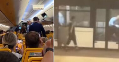 Újabb balhé a Ryanair egyik járatán - bilincsben vitték el és még földre is teperték a részeg brit nőt