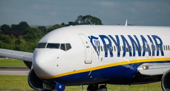 Magyar doktornő mentett életet egy Ryanair-járaton – kényszerleszállásra volt szükség Marseille-ben
