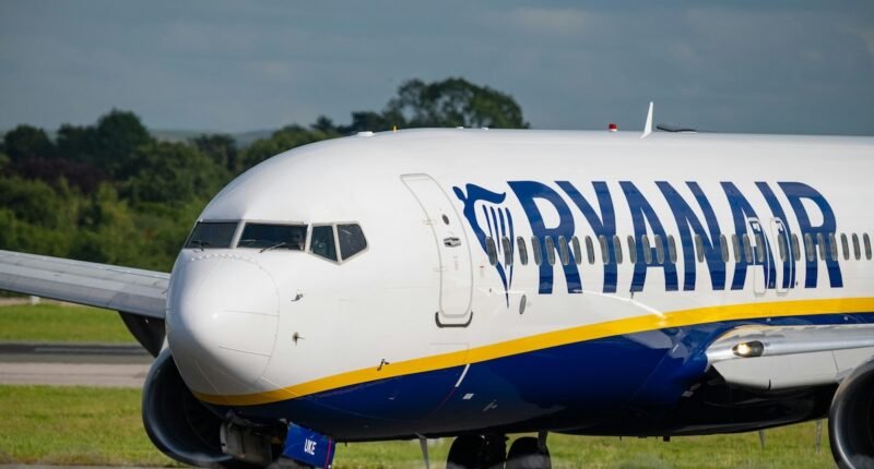 Magyar doktornő mentett életet egy Ryanair-járaton – kényszerleszállásra volt szükség Marseille-ben