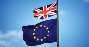 A Brexit mély sebeket ejtett a Nagy-Britanniában élő EU állampolgárokon: sokan bizalmukat vesztették, és egyre többen gondolkoznak azon, maradjanak-e