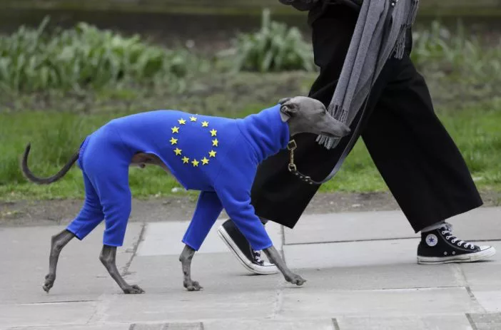Elképesztő embertömeg: 1 millióan London utcáin a Brexit miatt – a tegnapi tüntetés képekben 7