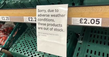 Figyelem! Újabb két szupermarket lánc is bevezeti a korlátozásokat a zöldségekre és gyümölcsökre Nagy-Britanniában 10