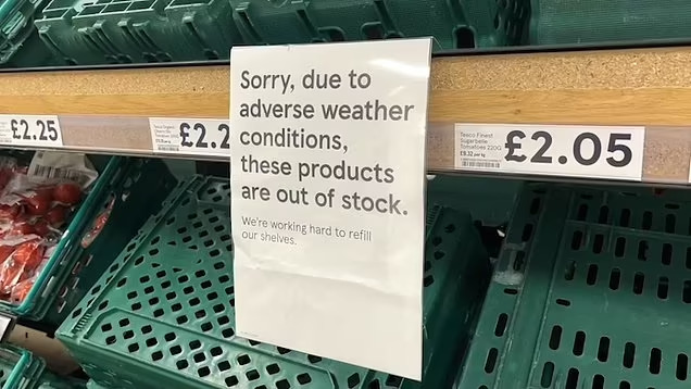 Figyelem! Újabb két szupermarket lánc is bevezeti a korlátozásokat a zöldségekre és gyümölcsökre Nagy-Britanniában 5
