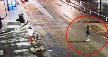 Kiderült, mi történhetett a férfival, akit a fél ország keres, miután savval locsolt le több embert Londonban