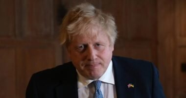 A brit miniszterelnök „beismerő vallomása”: videón kért bocsánatot és magyarázkodott Boris Johnson