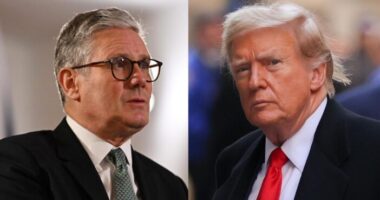 A brit miniszterelnök az amerikai elnökkel találkozik - mire számíthatunk, milyen kockázatai vannak