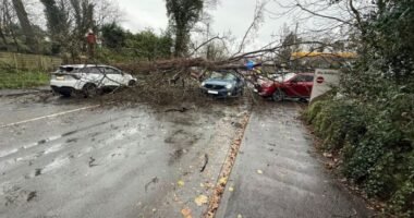 Vészhelyzet Dél-Walesben, életveszélyes áradások és tomboló szélviharok Angliában a Claudia vihar közepette