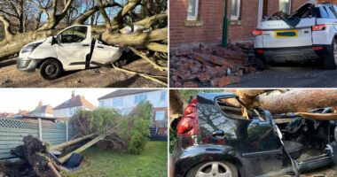 Már 2 halálos áldozata is van a Malik viharnak Nagy-Britanniában: tetőket tépett le, fákat csavart ki a brutális erejű szél