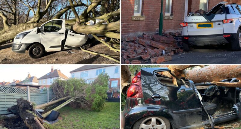 Már 2 halálos áldozata is van a Malik viharnak Nagy-Britanniában: tetőket tépett le, fákat csavart ki a brutális erejű szél 1