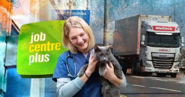 A Top 10 munkahely amiből a legnagyobb a hiány most, a Brexit után Nagy-Britanniában