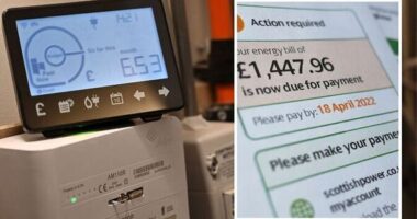 Figyelem! Országos program indul Nagy-Britanniában, amellyel a háztartások pénzt kereshetnek / spórolhatnak energiaszámláikból – hivatalosan is közzétették a program részleteit