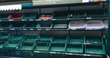 "Hatalmas élelmiszerválság küszöbén Nagy-Britannia, hamarosan a tojás után több alapvető zöldség is elkezdhet eltűnni a polcokról" - az NFU figyelmeztetése