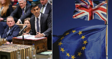 A brit parlament először ül le hivatalos keretek közt megbeszélni a Brexit következményeit - rohamosan nő az EU-hoz újra csatlakozni akarók száma