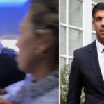 Rishi Sunaknak kigyűlt a 100 támogatója, Borist pedig hangosan kifújolták a repülőn visszafelé – újabb fejlemények a brit miniszterelnök választás kapcsán
