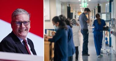 Forradalmi újítás az NHS-nél Nagy-Britanniában: online kórház jön a várólisták csökkentésére