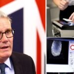 Digitális személyi igazolványokat vezethetnek be az Egyesült Királyságban mindenkinek a migránsok miatt