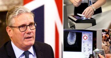 Digitális személyi igazolványokat vezethetnek be az Egyesült Királyságban mindenkinek a migránsok miatt