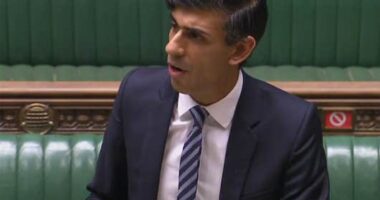 koronavírus támogatás