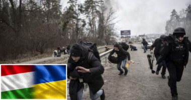 Egy szuper kezdeményezés segítségével az angliai magyarok is támogathatják a kárpátaljai magyarokat és az Ukrajnából elmenekülteket