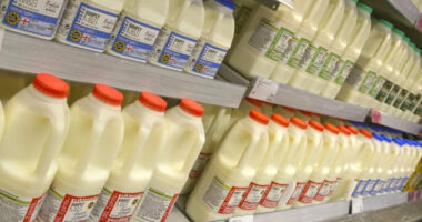 A hús, tojás, tejtermékek és más friss élelmiszerek árának emelkedése rekordot döntött az Egyesült Királyságban