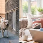 Extra bevétel Angliában: A 10 legjobb mellékállás 2026-ban, amikhez nem kell diploma vagy tapasztalat