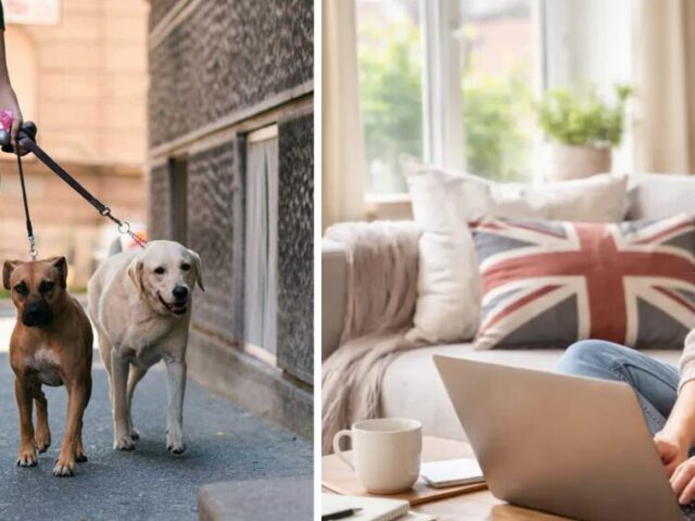 Extra bevétel Angliában: A 10 legjobb mellékállás 2026-ban, amikhez nem kell diploma vagy tapasztalat